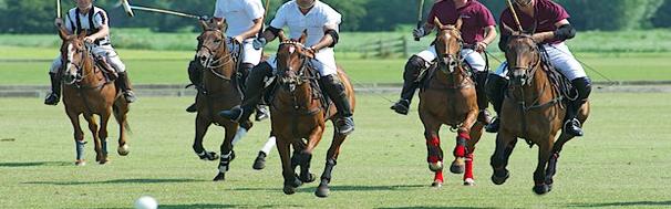 Polo Club Vreeland (NL)