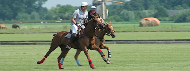 Polo Club Vreeland (NL)