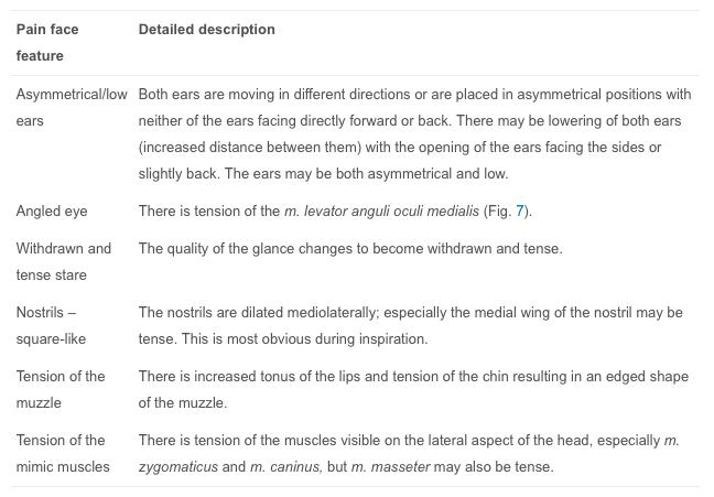 "Description of the features of the equine pain face" sciencedirect.com